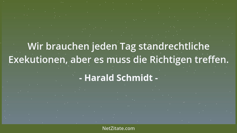 Harald Schmidt - Wir brauchen jeden Tag standrechtliche Exekutionen, aber es muss die Richtigen treffen....