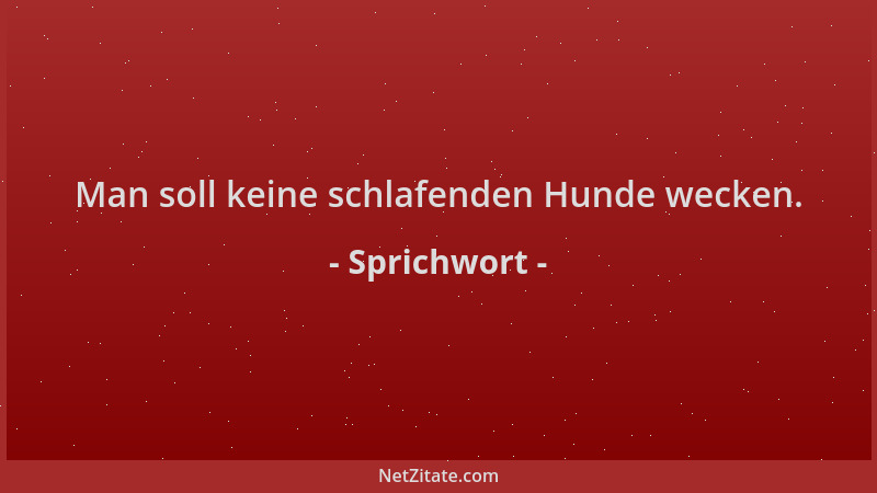 Sprichwort - Man soll keine schlafenden Hunde wecken....