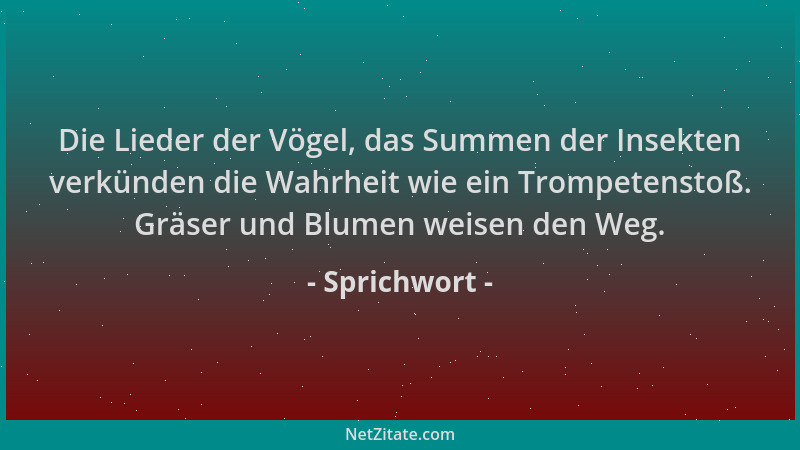 Sprichwort - Die Lieder der Vögel, das Summen der Insekten verkünden die Wahrheit wie ein Trompetenstoß. Gräser und Blumen...
