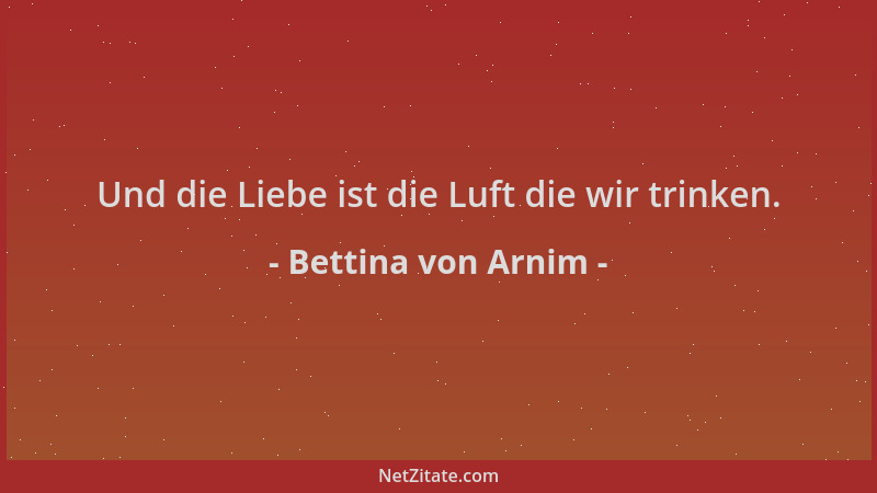 Bettina von Arnim - Und die Liebe ist die Luft die wir trinken....