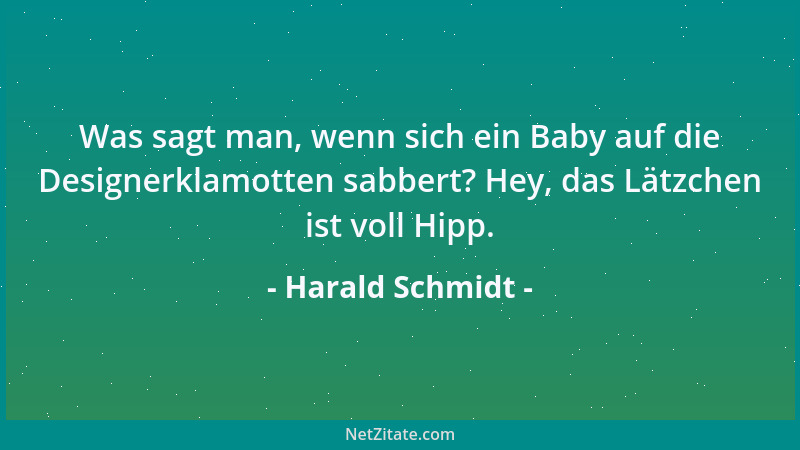 Harald Schmidt - Was sagt man, wenn sich ein Baby auf die Designerklamotten sabbert? Hey, das Lätzchen ist voll Hipp....