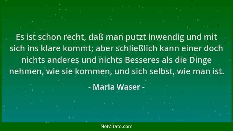 Maria Waser - Es ist schon recht, daß man putzt inwendig und mit sich ins klare kommt; aber schließlich kann einer doch nic...