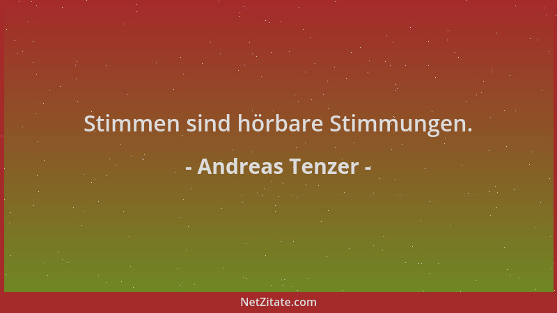 Andreas Tenzer - Stimmen sind hörbare Stimmungen....