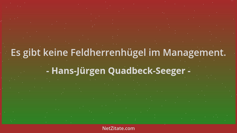 Hans-Jürgen Quadbeck-Seeger - Es gibt keine Feldherrenhügel im Management....