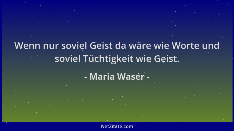 Maria Waser - Wenn nur soviel Geist da wäre wie Worte und soviel Tüchtigkeit wie Geist....