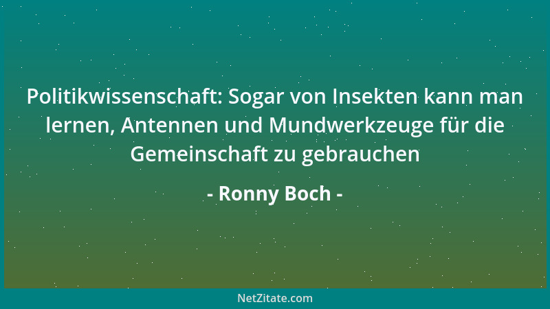 Ronny Boch - Politikwissenschaft: Sogar von Insekten kann man lernen, Antennen und Mundwerkzeuge für die Gemeinschaft zu ge...