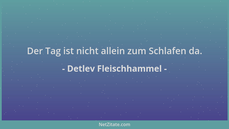 Detlev Fleischhammel - Der Tag ist nicht allein zum Schlafen da....