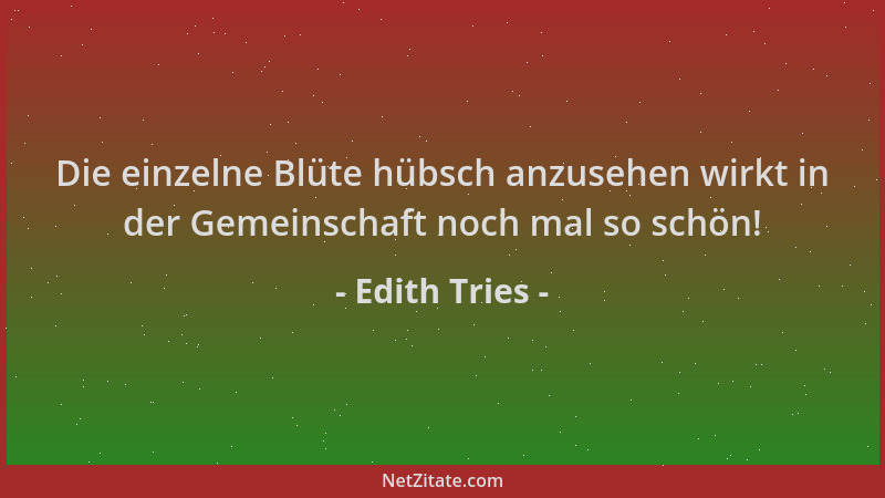 Edith Tries - Die einzelne Blüte hübsch anzusehen wirkt in der Gemeinschaft noch mal so schön!...