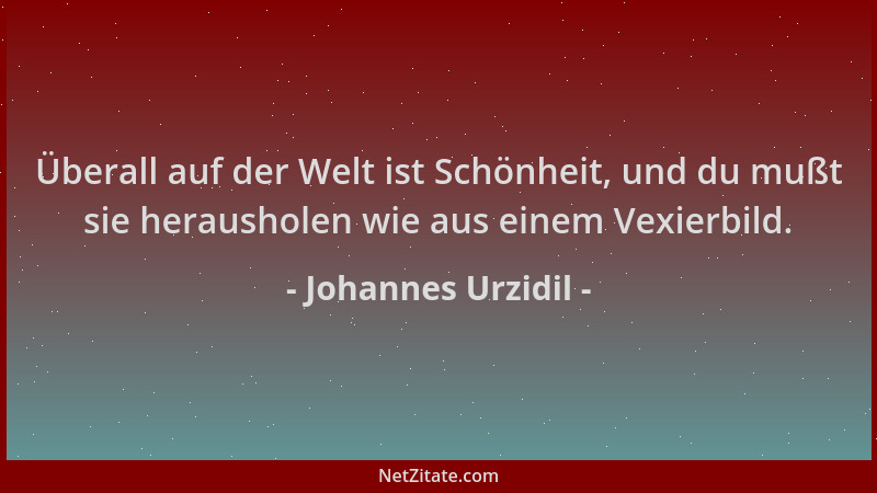 Johannes Urzidil - Überall auf der Welt ist Schönheit, und du mußt sie herausholen wie aus einem Vexierbild....