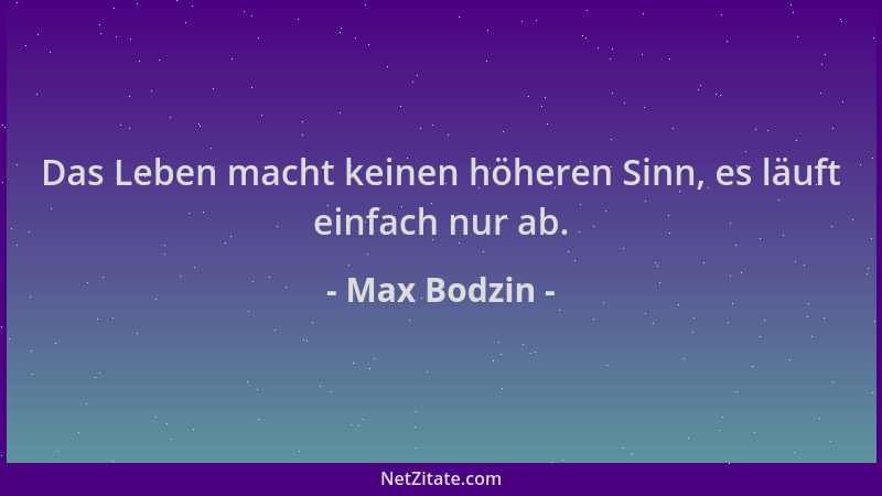 Max Bodzin - Das Leben macht keinen höheren Sinn, es läuft einfach nur ab....