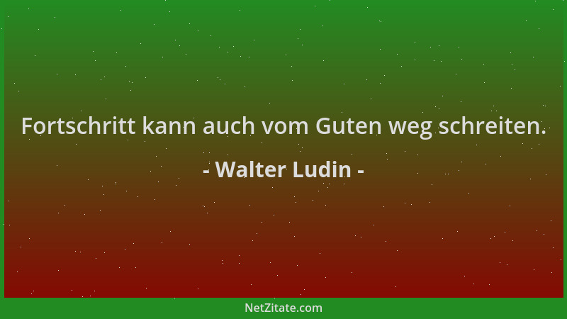 Walter Ludin - Fortschritt kann auch vom Guten weg schreiten....
