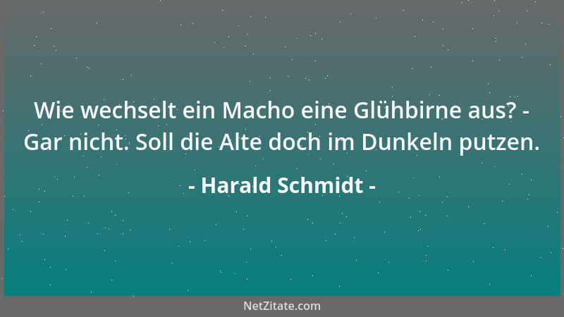 Harald Schmidt - Wie wechselt ein Macho eine Glühbirne aus? - Gar nicht. Soll die Alte doch im Dunkeln putzen....