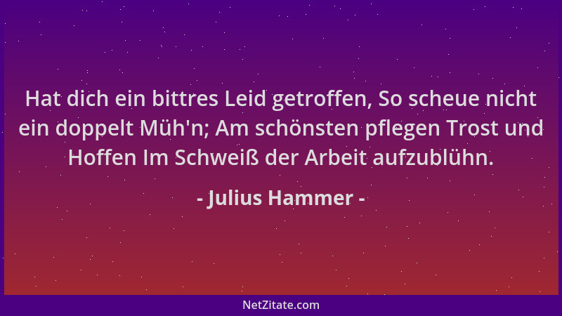 Julius Hammer - Hat dich ein bittres Leid getroffen, So scheue nicht ein doppelt Müh 'n; Am schönsten pflegen Trost und Hoff...