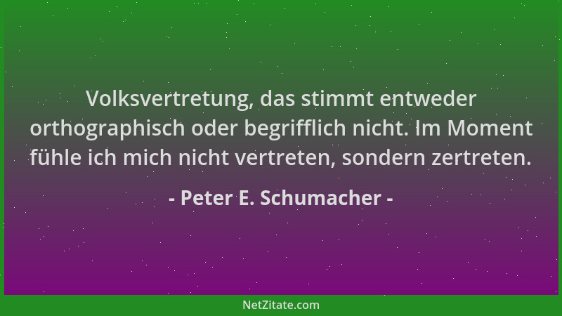 Peter E. Schumacher - Volksvertretung, das stimmt entweder orthographisch oder begrifflich nicht. Im Moment fühle ich mich...