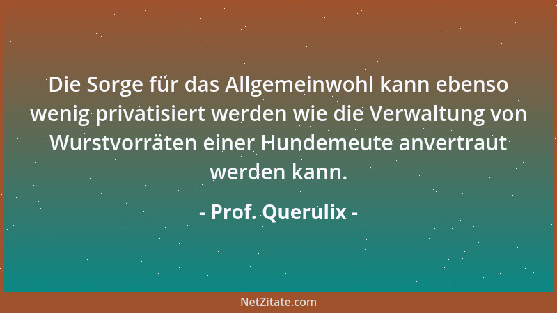 Prof. Querulix - Die Sorge für das Allgemeinwohl kann ebenso wenig privatisiert werden wie die Verwaltung von Wurstvorräten...