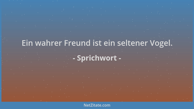 Sprichwort - Ein wahrer Freund ist ein seltener Vogel....