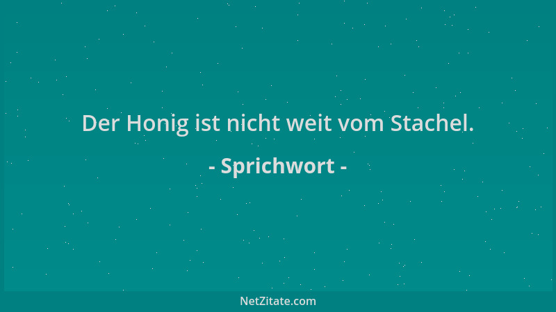 Sprichwort - Der Honig ist nicht weit vom Stachel....