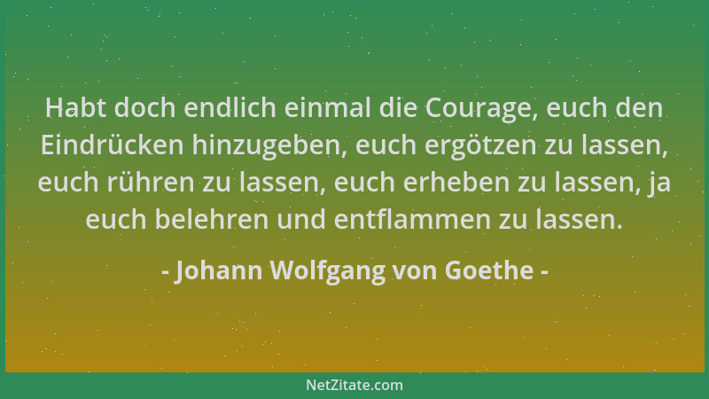 Johann Wolfgang von Goethe - Habt doch endlich einmal die Courage, euch den Eindrücken hinzugeben, euch ergötzen zu lassen,...