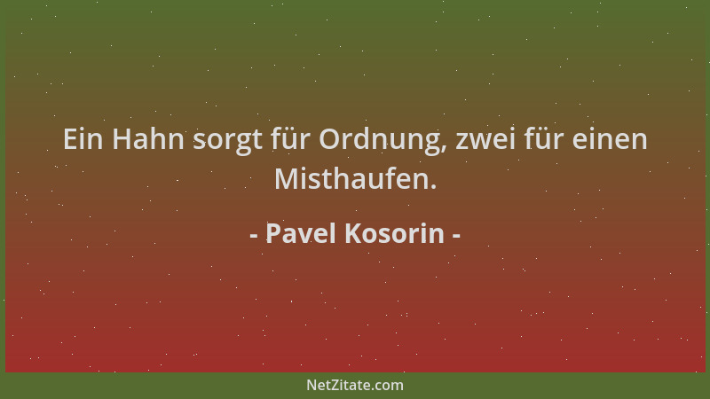 Pavel Kosorin - Ein Hahn sorgt für Ordnung, zwei für einen Misthaufen....