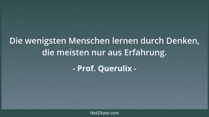 Prof. Querulix - Die wenigsten Menschen lernen durch Denken, die meisten nur aus Erfahrung....