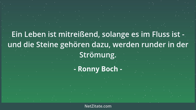 Ronny Boch - Ein Leben ist mitreißend, solange es im Fluss ist - und die Steine gehören dazu, werden runder in der Strömung...