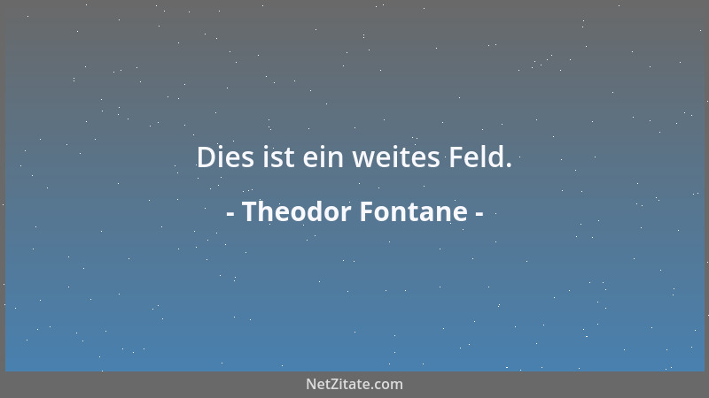 Theodor Fontane - Dies ist ein weites Feld....