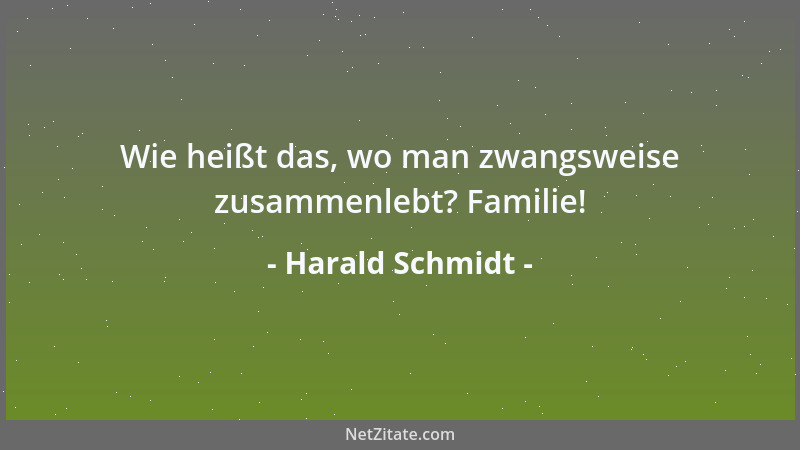 Harald Schmidt - Wie heißt das, wo man zwangsweise zusammenlebt? Familie!...