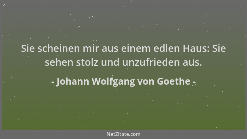 Johann Wolfgang von Goethe - Sie scheinen mir aus einem edlen Haus: Sie sehen stolz und unzufrieden aus....