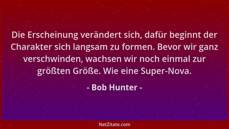 Bob Hunter - Die Erscheinung verändert sich, dafür beginnt der Charakter sich langsam zu formen. Bevor wir ganz verschwinde...