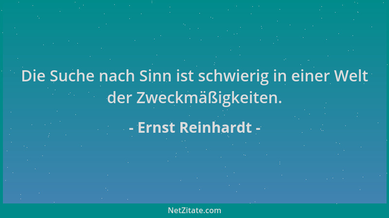Ernst Reinhardt - Die Suche nach Sinn ist schwierig in einer Welt der Zweckmäßigkeiten....