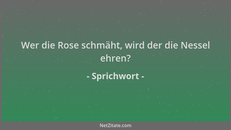 Sprichwort - Wer die Rose schmäht, wird der die Nessel ehren?...