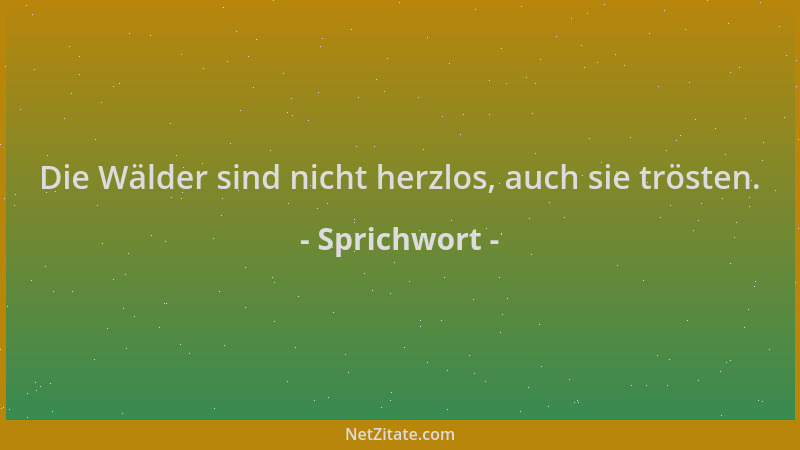 Sprichwort - Die Wälder sind nicht herzlos, auch sie trösten....