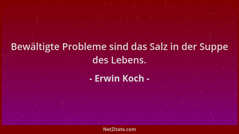 Erwin Koch - Bewältigte Probleme sind das Salz in der Suppe des Lebens....