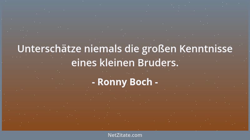 Ronny Boch - Unterschätze niemals die großen Kenntnisse eines kleinen Bruders....