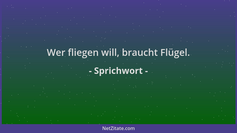 Sprichwort - Wer fliegen will, braucht Flügel....