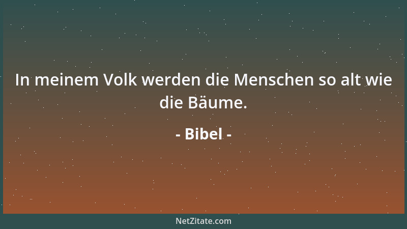 Bibel - In meinem Volk werden die Menschen so alt wie die Bäume....