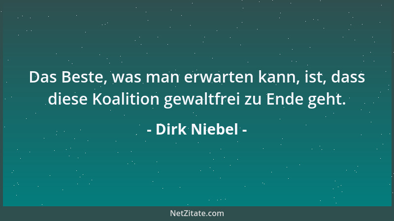 Dirk Niebel - Bevor Beck der FDP Brücken baut, sollte er erst den Tunnel zur Linkspartei zuschütten....