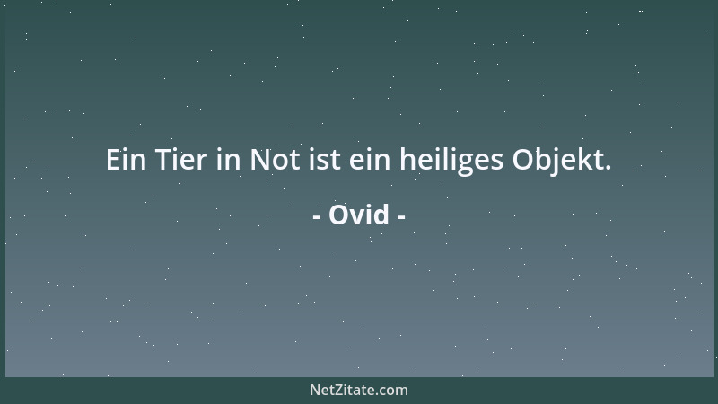 Ovid - Ein Tier in Not ist ein heiliges Objekt....