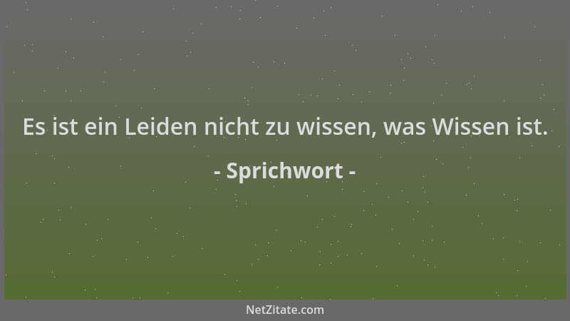 Sprichwort - Es ist ein Leiden nicht zu wissen, was Wissen ist....