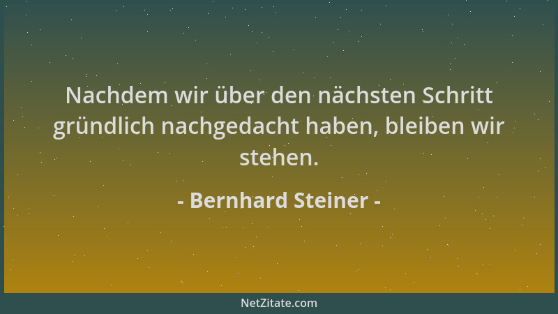 Bernhard Steiner - Nachdem wir über den nächsten Schritt gründlich nachgedacht haben, bleiben wir stehen....