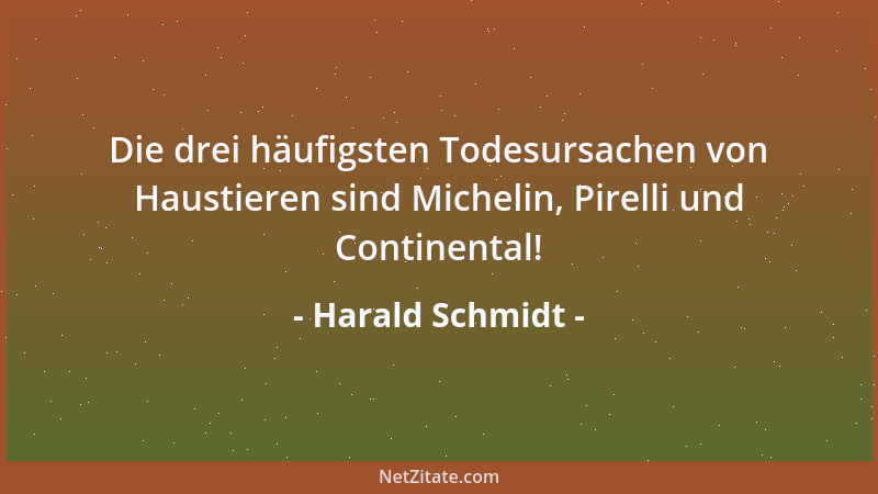 Harald Schmidt - Die drei häufigsten Todesursachen von Haustieren sind Michelin, Pirelli und Continental!...
