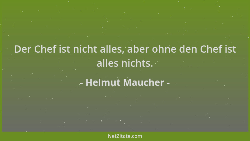 Helmut Maucher - Der Chef ist nicht alles, aber ohne den Chef ist alles nichts....