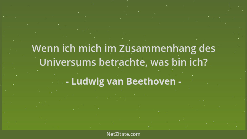 Ludwig van Beethoven - Wenn ich mich im Zusammenhang des Universums betrachte, was bin ich?...