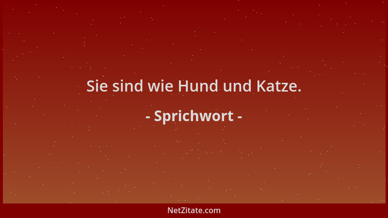 Sprichwort - Sie sind wie Hund und Katze....