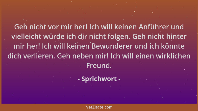 Sprichwort - Geh nicht vor mir her! Ich will keinen Anführer und vielleicht würde ich dir nicht folgen. Geh nicht hinter mi...