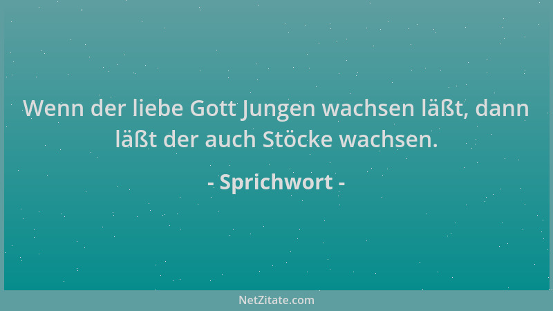 Sprichwort - Wenn der liebe Gott Jungen wachsen läßt, dann läßt der auch Stöcke wachsen....