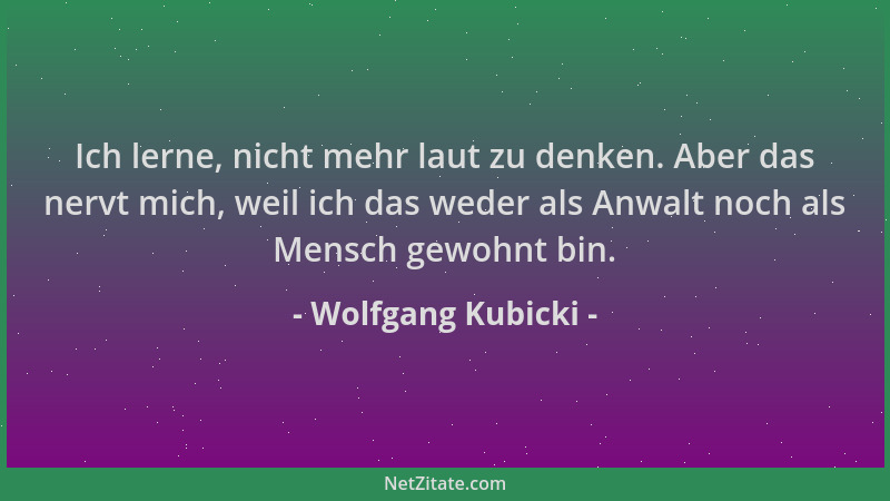Wolfgang Kubicki - Ich lerne, nicht mehr laut zu denken. Aber das nervt mich, weil ich das weder als Anwalt noch als Mensch...