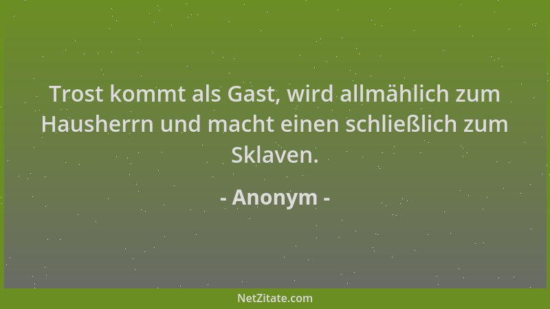 Anonym - Trost kommt als Gast, wird allmählich zum Hausherrn und macht einen schließlich zum Sklaven....