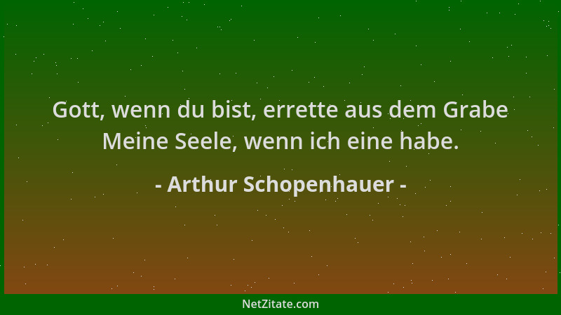 Arthur Schopenhauer - Gott, wenn du bist, errette aus dem Grabe Meine Seele, wenn ich eine habe....
