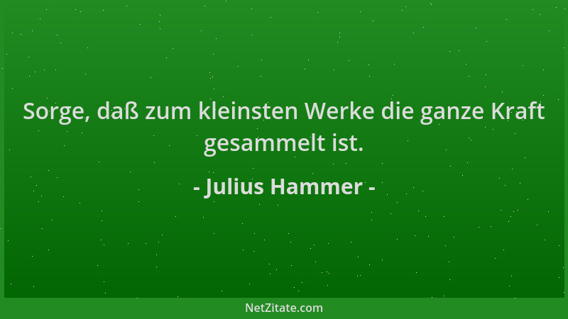 Julius Hammer - Sorge, daß zum kleinsten Werke die ganze Kraft gesammelt ist....